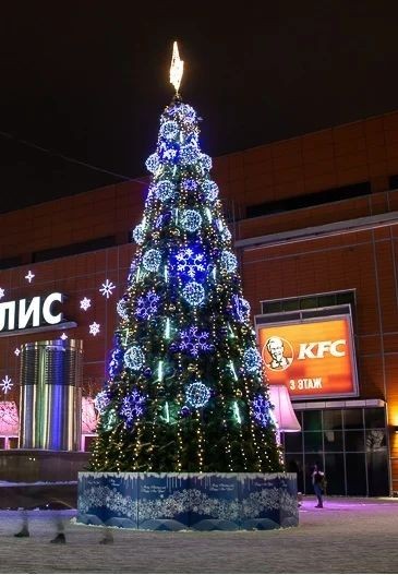 Сосна каркасная «Уральская» - 11 м