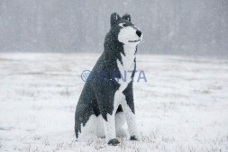 Топиари волк — газон Eco