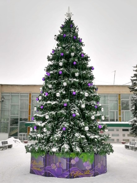 Ель «Кремлевская» - 17 м