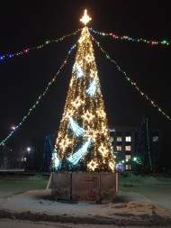 Ель каркасная «Евро» - 24 м