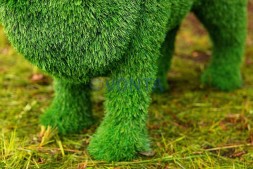 Топиари лев Пирелли — газон Eco Green