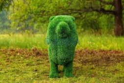 Топиари лев Пирелли — газон Eco Green