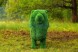 Топиари лев Пирелли — газон Eco Green