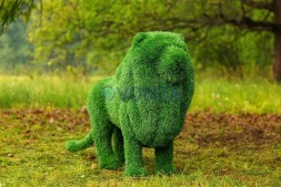 Топиари лев Пирелли — газон Eco Green