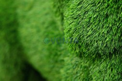 Топиари лев Пирелли — газон Eco Green