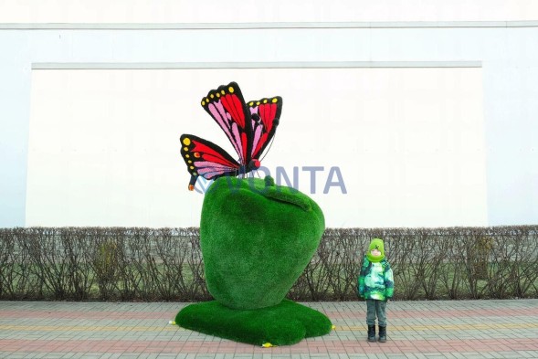 Топиари композиция бабочка Малинка на яблоке — газон Deluxe + Eco