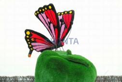 Топиари композиция бабочка Малинка на яблоке — газон Deluxe + Eco