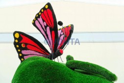 Топиари композиция бабочка Малинка на яблоке — газон Deluxe + Eco