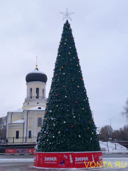 Уличная каркасная сосна «Уральская» 9 м