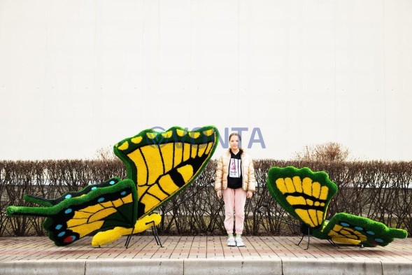 Топиари бабочка Искорка — газон Eco