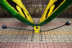 Топиари бабочка Искорка — газон Eco