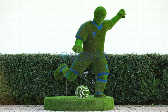 Топиари футболист — газон Eco