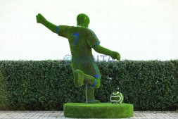 Топиари футболист — газон Eco