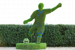 Топиари футболист — газон Eco