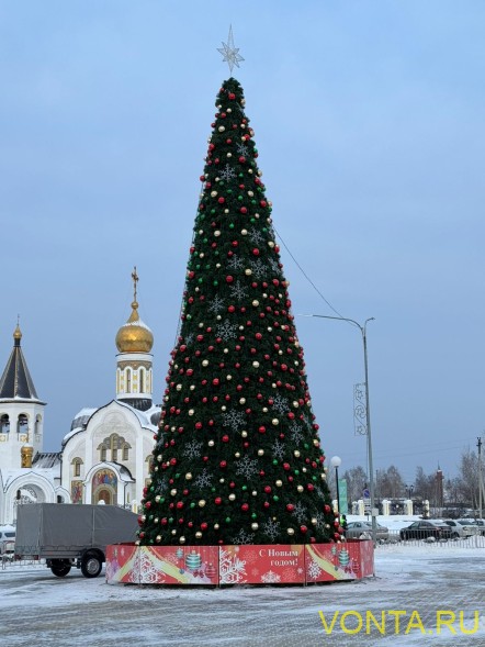 Уличная каркасная сосна «Уральская» 8 м