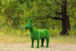 Топиари ослик Томми, без кашпо — газон Deluxe Green