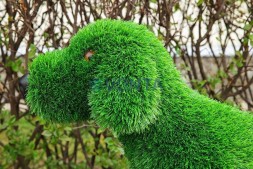 Топиари собака Бигль — газон Eco Green
