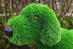 Топиари собака Бигль — газон Eco Green
