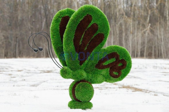 Топиари бабочка Какао — газон Premium