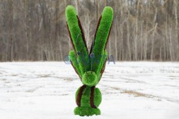 Топиари бабочка Какао — газон Premium