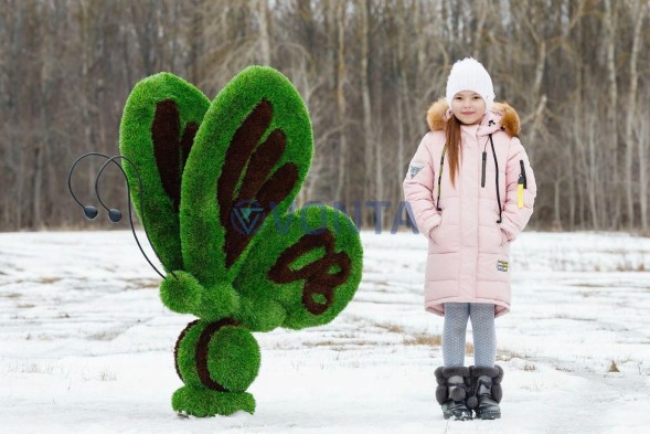 Топиари бабочка Какао — газон Premium