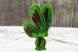 Топиари бабочка Какао — газон Premium