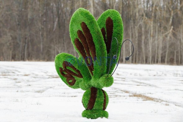 Топиари бабочка Какао — газон Premium