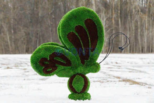 Топиари бабочка Какао — газон Premium