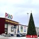 Уличная каркасная сосна «Уральская» 7 м