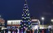 Уличная каркасная сосна «Уральская» 7 м