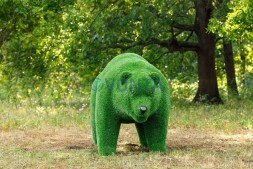 Топиари медведь папа — газон Eco