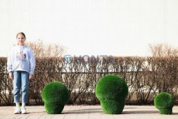 Топиари гриб шампиньон, h=50 см- газон Deluxe