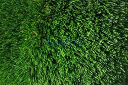 Топиари гриб шампиньон, h=50 см- газон Deluxe