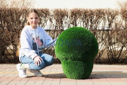 Топиари гриб шампиньон, h=50 см- газон Deluxe