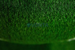 Топиари мяч футбольный Эрика — газон Eco