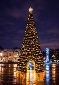 Ель с аркой